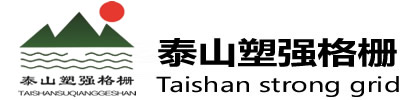 拼接格柵,地格柵,洗車(chē)格柵